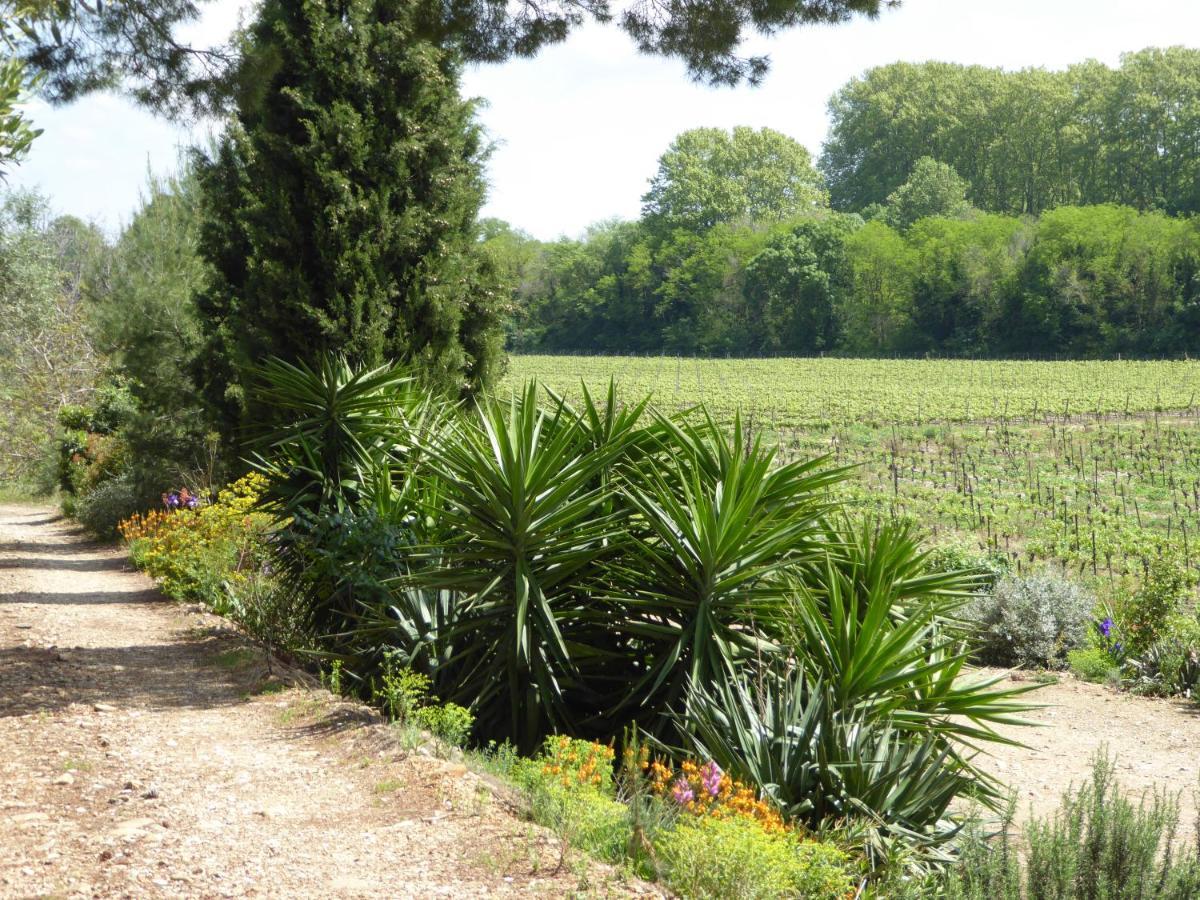 Domaine De L'Herbe Sainte Mirepeisset Экстерьер фото