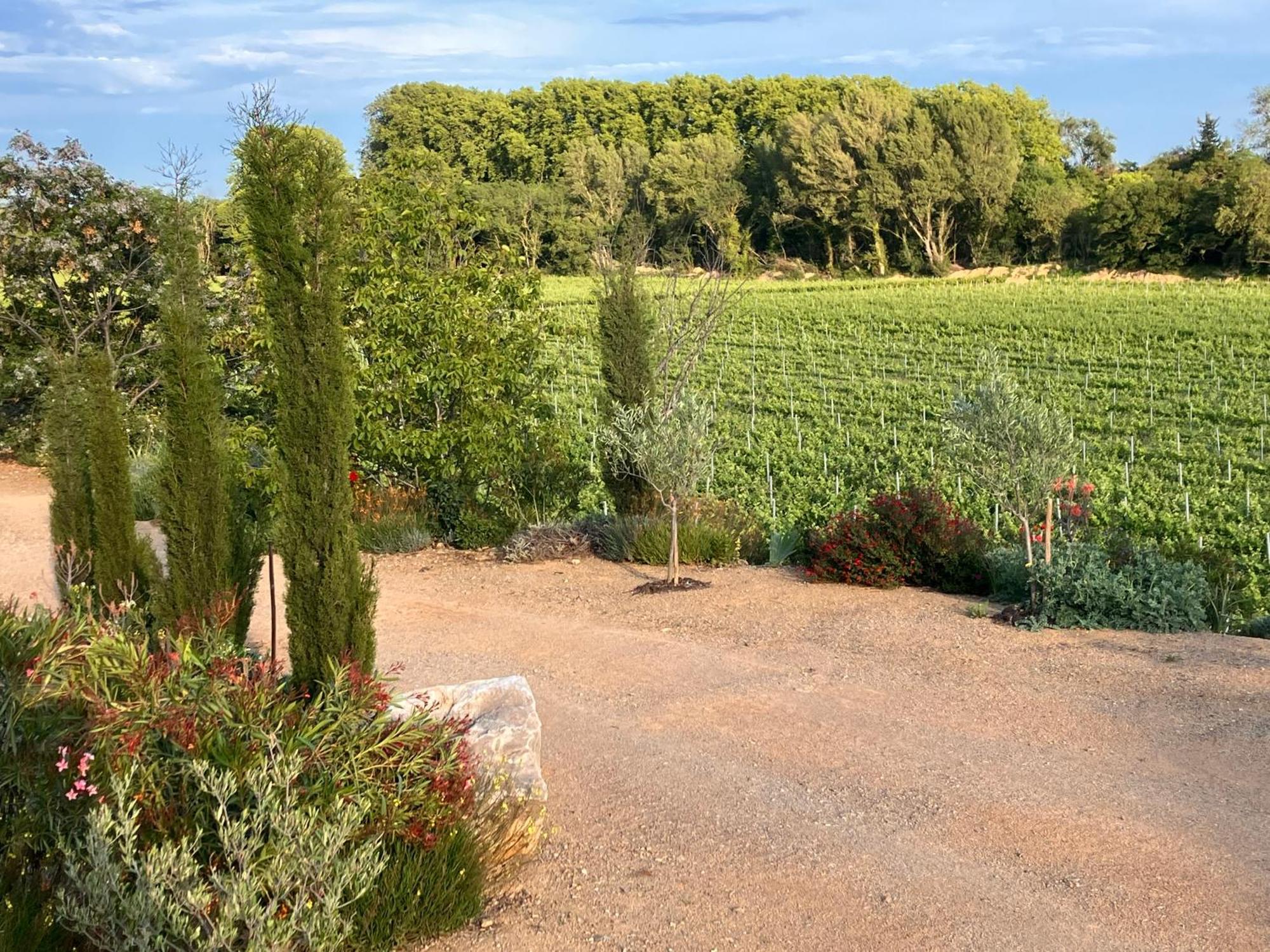 Domaine De L'Herbe Sainte Mirepeisset Экстерьер фото